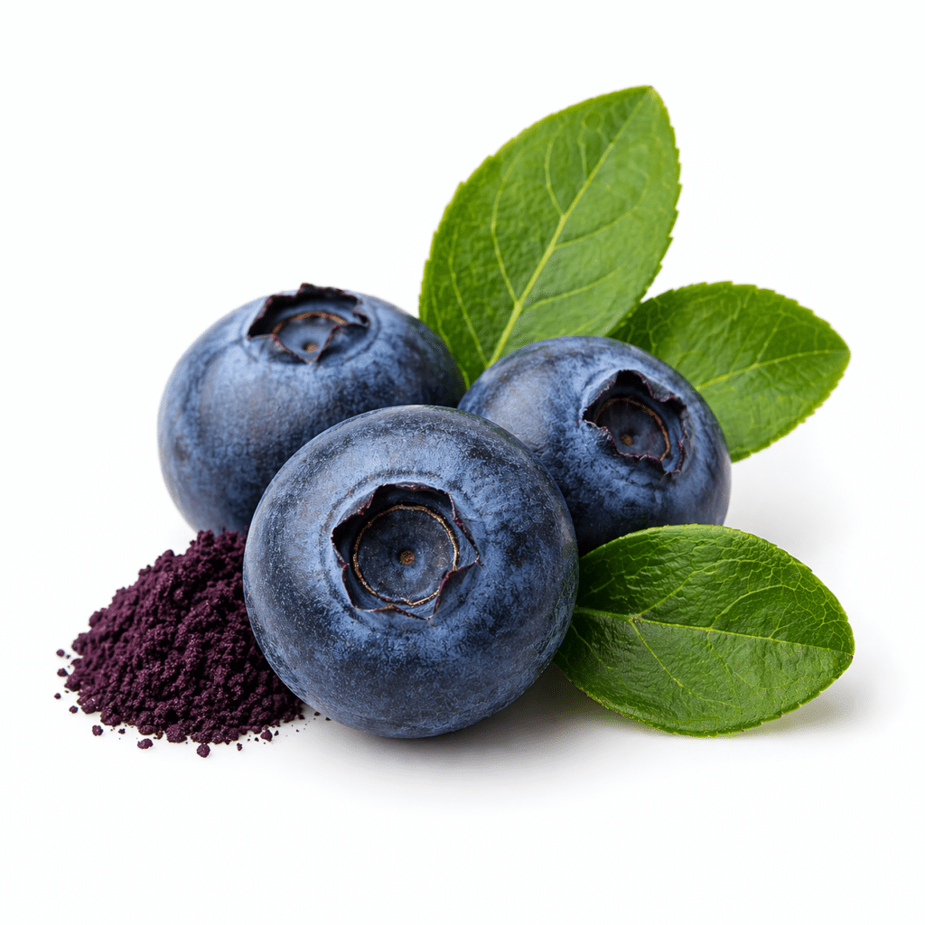 bilberry-extract